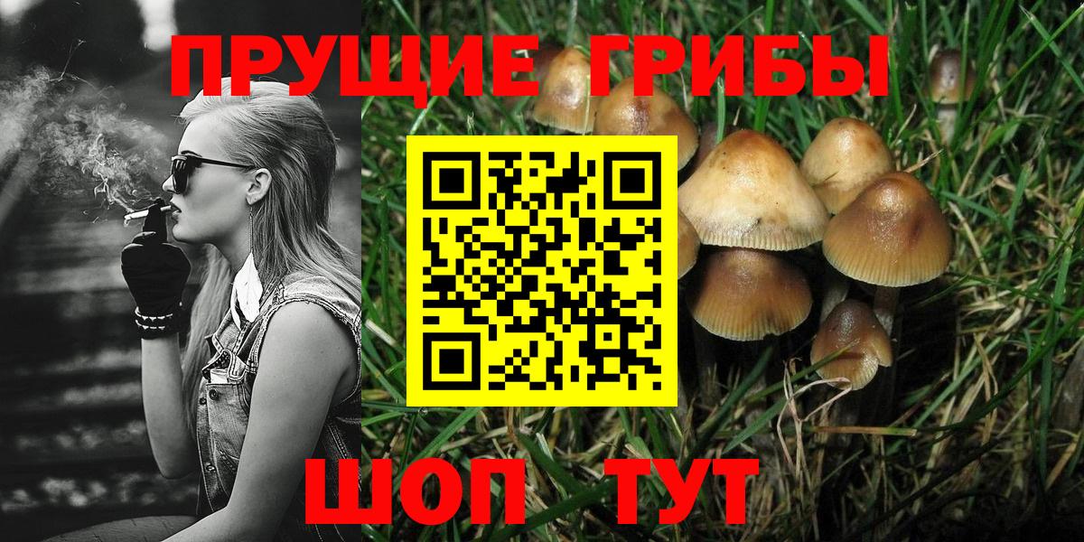 Псилоцибиновые грибы ЛСД  Вход с VPN  Муром 